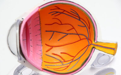 Types of Diabetic Eye Disease